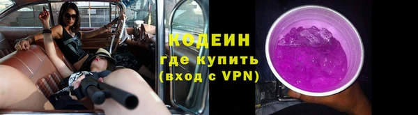 прущие грибы Армянск