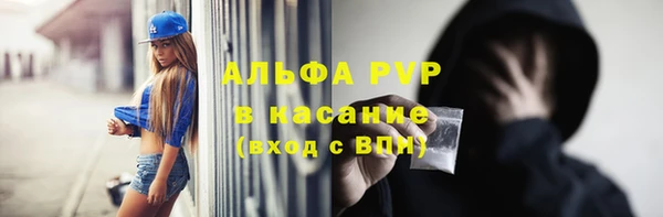 прущие грибы Армянск