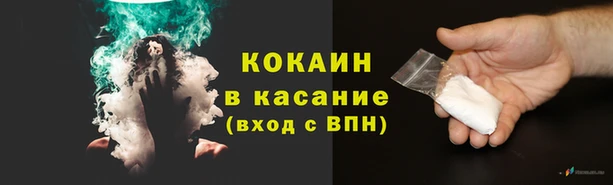 прущие грибы Армянск
